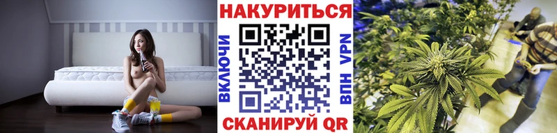 Псилоцибиновые грибы Киров