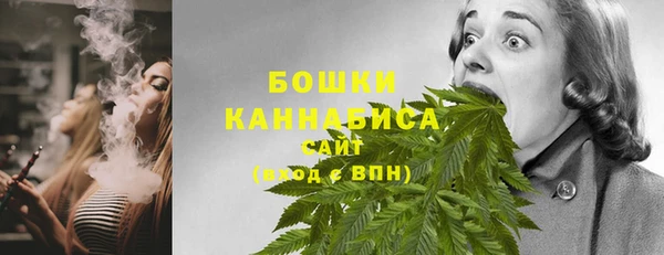 PSILOCYBIN Богородск