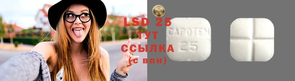 PSILOCYBIN Богородск