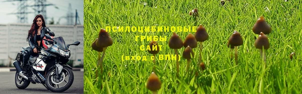 PSILOCYBIN Богородск