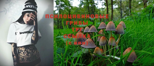 PSILOCYBIN Богородск