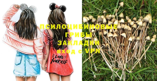 mdma Богородицк