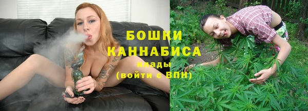 PSILOCYBIN Богородск