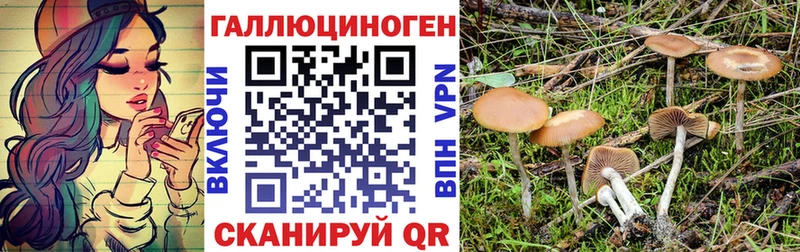 Галлюциногенные грибы GOLDEN TEACHER  Киров 